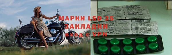 стаф Абинск