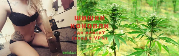 шишки Алексеевка