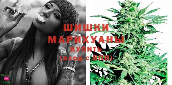 дживик Абаза