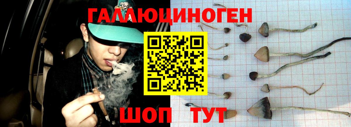 Галлюциногенные грибы Magic Shrooms Клинцы