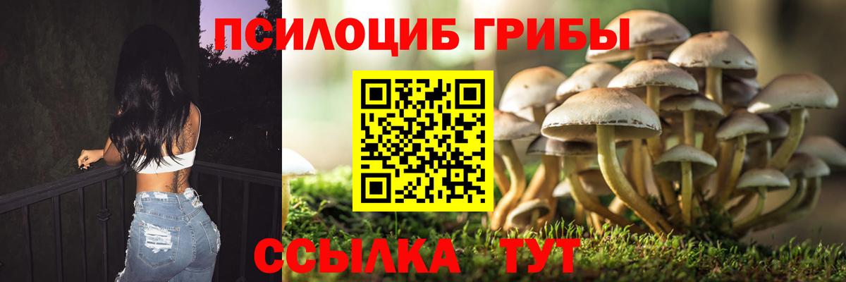 Галлюциногенные грибы мухоморы  Вход с VPN  Клинцы 